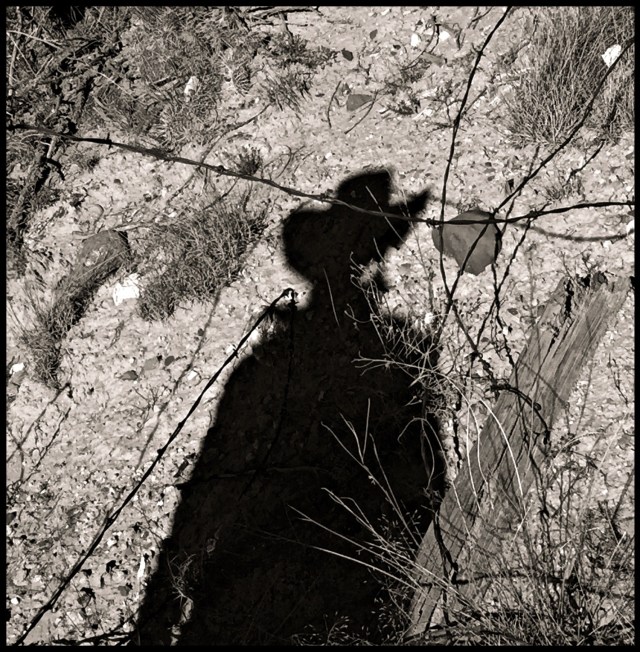 ASYLUM 4 RENEGADES HOME PHOTO